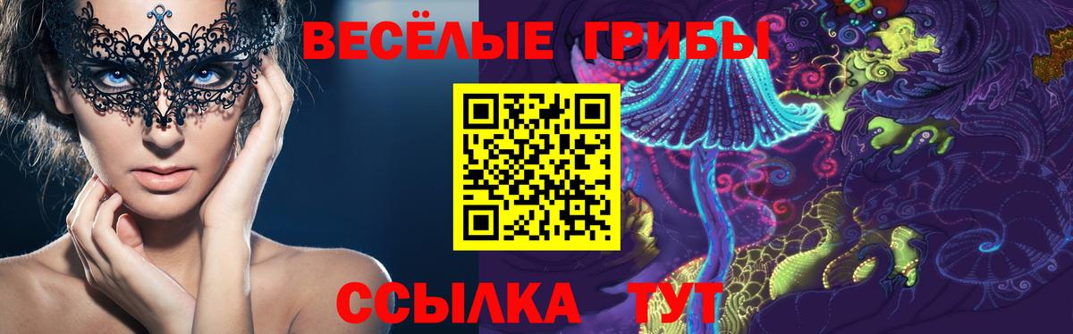 Галлюциногенные грибы Cubensis Алексеевка